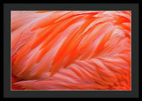 Flamingo Design - Framed Print