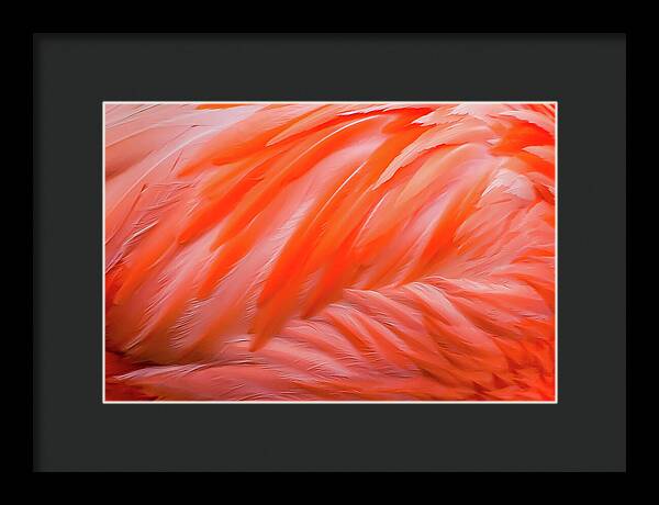 Flamingo Design - Framed Print