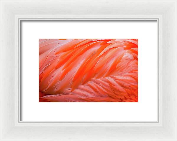 Flamingo Design - Framed Print