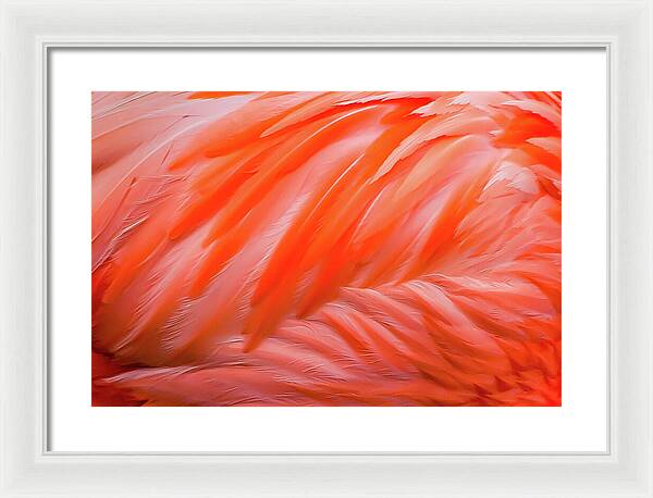 Flamingo Design - Framed Print