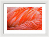 Flamingo Design - Framed Print