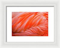 Flamingo Design - Framed Print