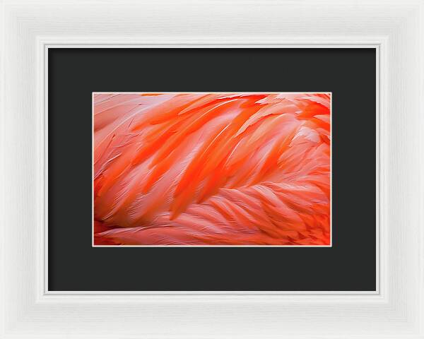 Flamingo Design - Framed Print