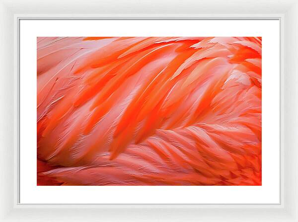 Flamingo Design - Framed Print