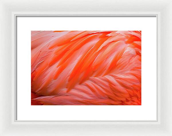 Flamingo Design - Framed Print