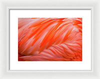 Flamingo Design - Framed Print