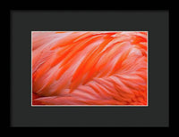 Flamingo Design - Framed Print