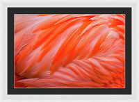 Flamingo Design - Framed Print