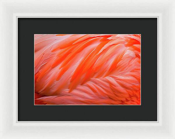 Flamingo Design - Framed Print