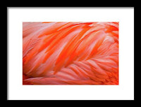 Flamingo Design - Framed Print