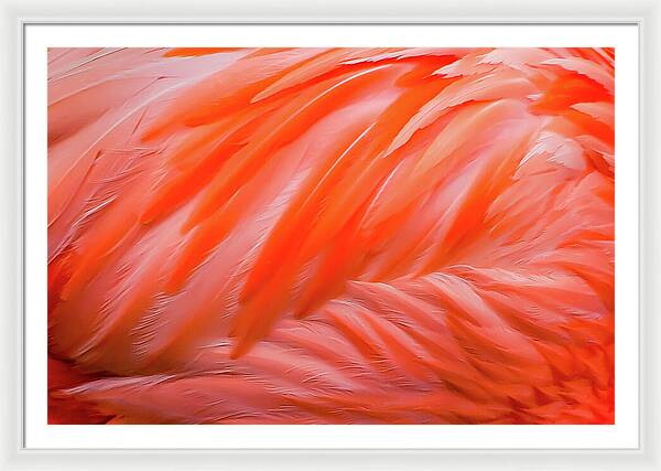 Flamingo Design - Framed Print