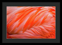 Flamingo Design - Framed Print