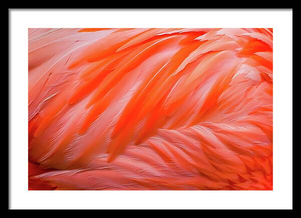 Flamingo Design - Framed Print