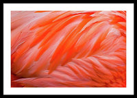 Flamingo Design - Framed Print