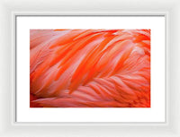 Flamingo Design - Framed Print