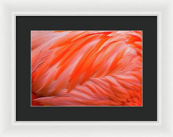 Flamingo Design - Framed Print