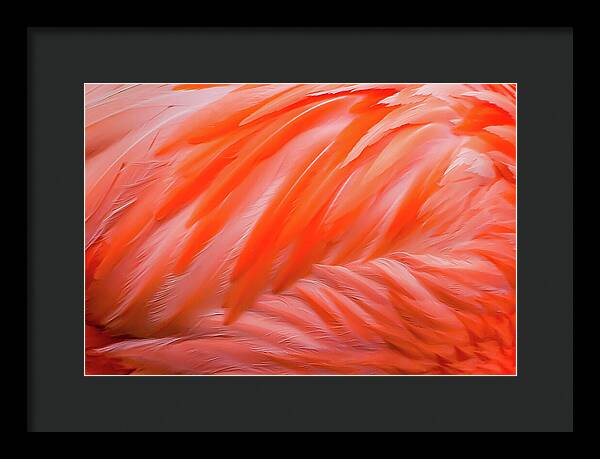 Flamingo Design - Framed Print