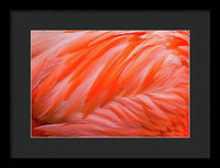 Flamingo Design - Framed Print