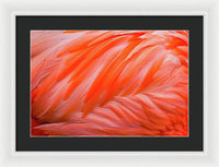 Flamingo Design - Framed Print