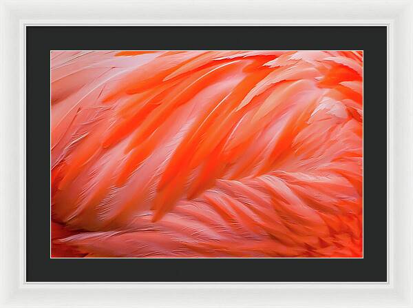 Flamingo Design - Framed Print