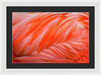 Flamingo Design - Framed Print