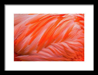 Flamingo Design - Framed Print