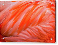 Flamingo Design - Acrylic Print