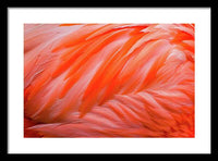 Flamingo Design - Framed Print