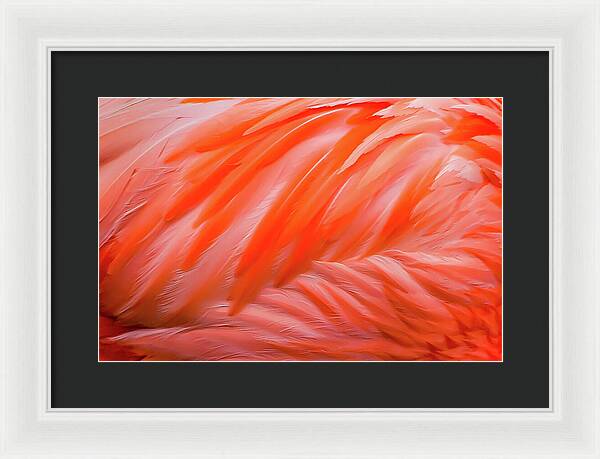 Flamingo Design - Framed Print