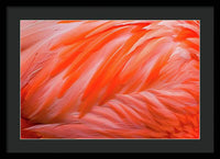 Flamingo Design - Framed Print