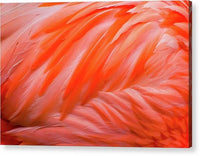 Flamingo Design - Acrylic Print