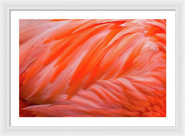 Flamingo Design - Framed Print