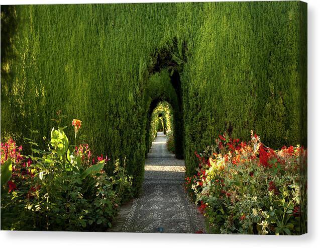 Gardens of the Alhambra - Canvas Print Canvas Print 1ArtCollection