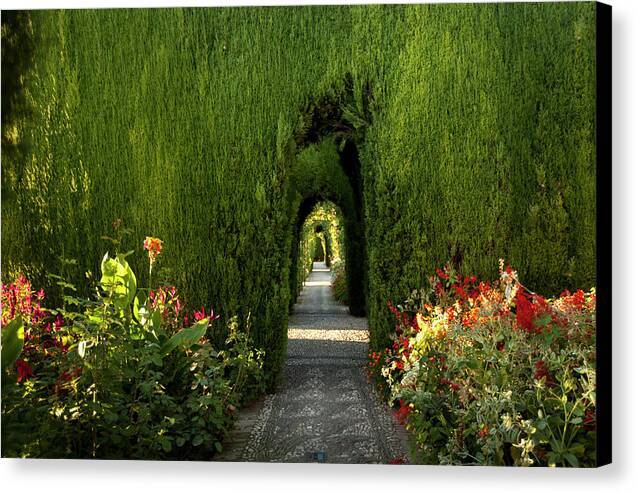 Gardens of the Alhambra - Canvas Print Canvas Print 1ArtCollection