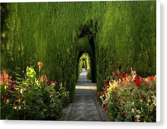 Gardens of the Alhambra - Canvas Print Canvas Print 1ArtCollection