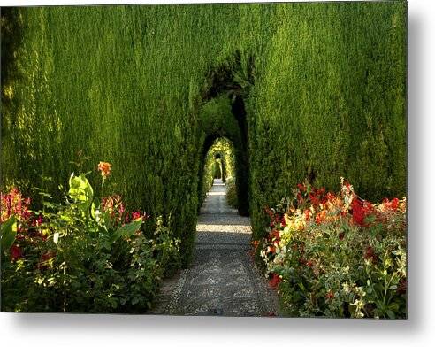 Gardens of the Alhambra - Metal Print Metal Print 1ArtCollection