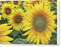 Giant Sunflowers Relief - Canvas Print