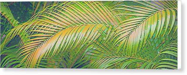 Golden Palm Design Relief - Canvas Print