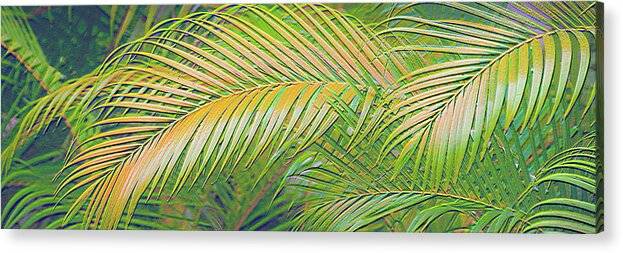 Golden Palm Design Relief - Acrylic Print