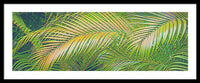 Golden Palm Design Relief - Framed Print