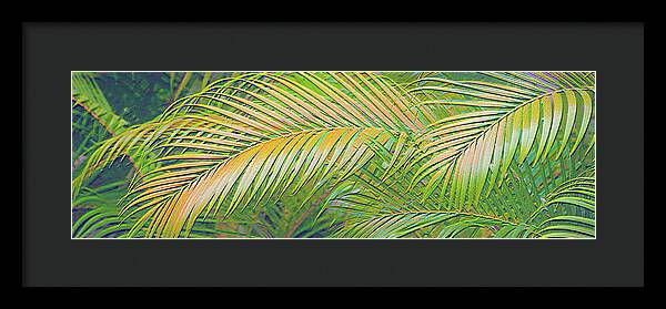 Golden Palm Design Relief - Framed Print