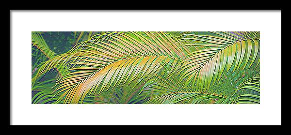 Golden Palm Design Relief - Framed Print