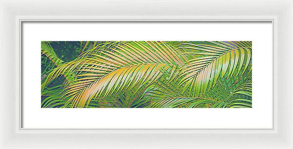 Golden Palm Design Relief - Framed Print