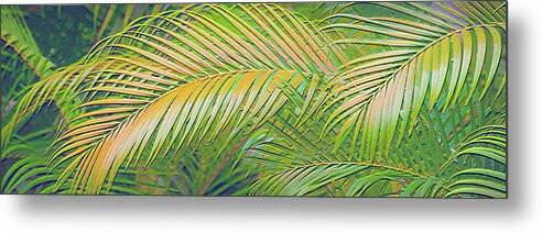 Golden Palm Design Relief - Metal Print