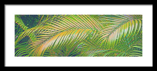 Golden Palm Design Relief - Framed Print