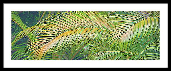 Golden Palm Design Relief - Framed Print