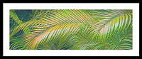 Golden Palm Design Relief - Framed Print