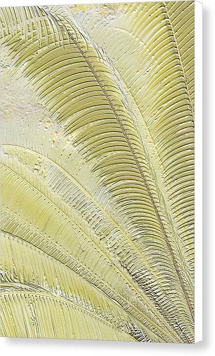 Golden Palms relief - Canvas Print Canvas Print 1ArtCollection