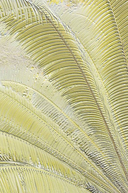 Golden Palms relief - Art Print Art Print 1ArtCollection