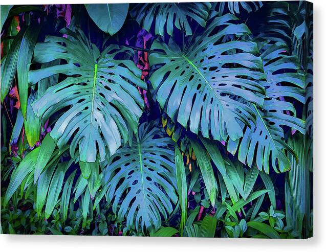 Haiku Monstera - Canvas Print